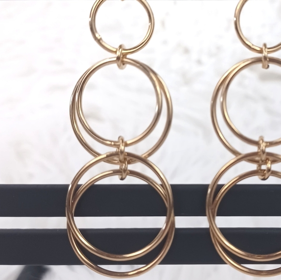 Worthington Circle Dangle Earrings - Picture 10 of 11
